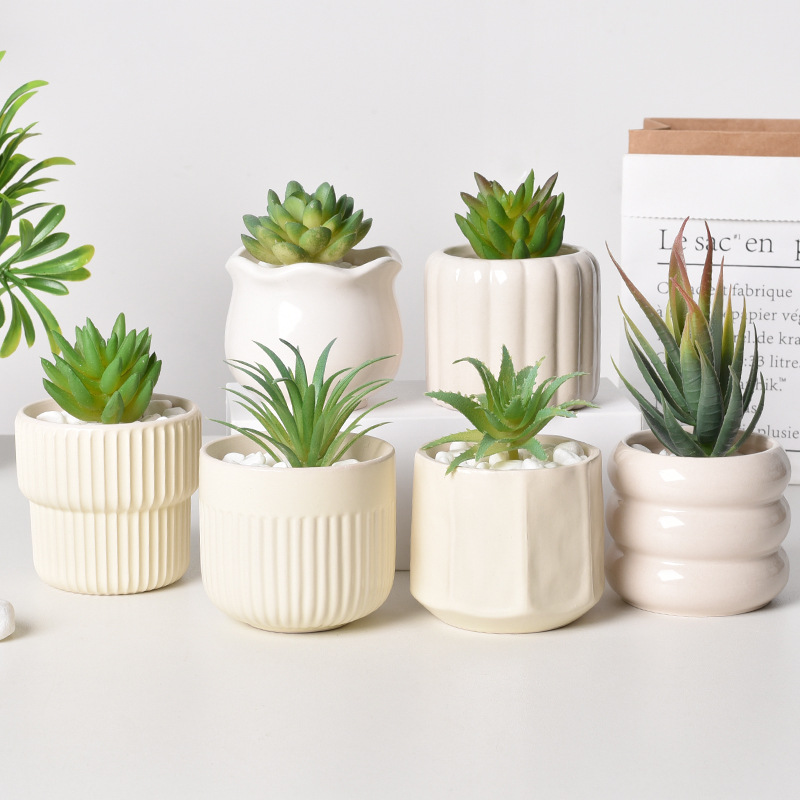Echeveria Succulent - セラミック製自動給水多肉植物プランター、排水穴付きホワイトミニマリストポット、室内デスクトップフラワーポット、ホームデコレーション用
