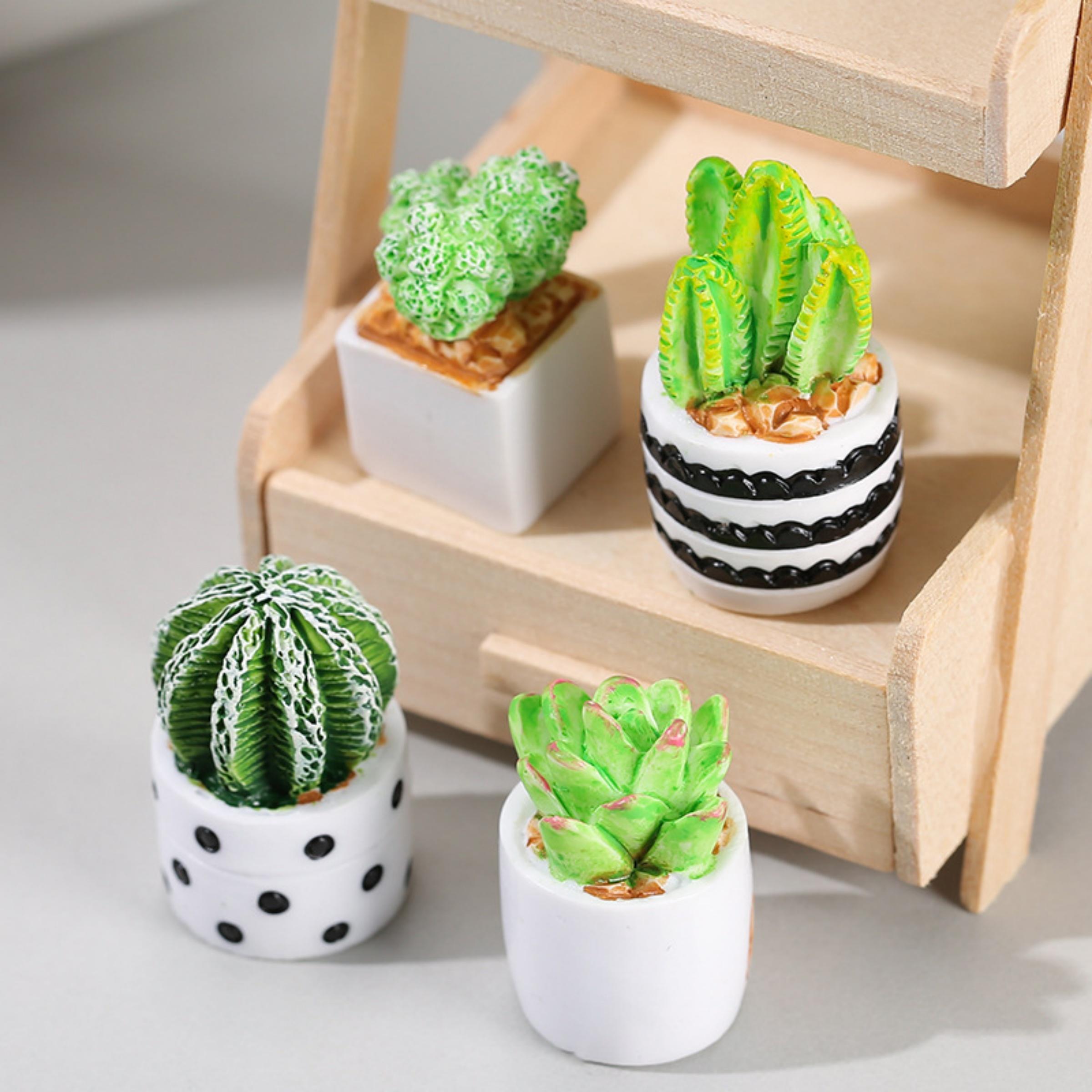 Echeveria Succulent - サボテン多肉植物の鉢植え4点セット、フェアリーガーデンアクセサリー、ミニチュアDIY用マイクロランドスケープオーナメント