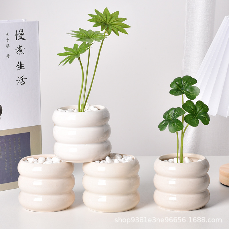セラミック製自動給水多肉植物プランター、排水穴付きホワイトミ - Echeveria Succulent のレビューと価格