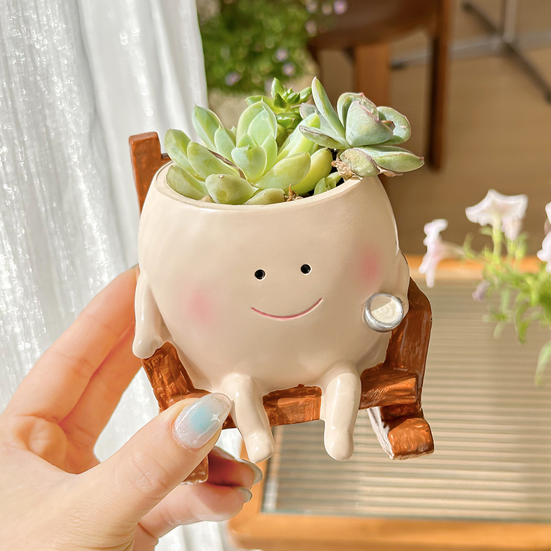 スタイリッシュで可愛い漫画風ゴースト樹脂製多肉植物プランター - Echeveria Succulent のレビューと価格