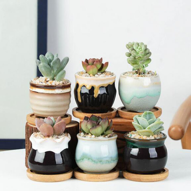 6 ピース/セットセラミック植木鉢セットミニ親指多肉植物ポッ - Echeveria Succulent のレビューと価格