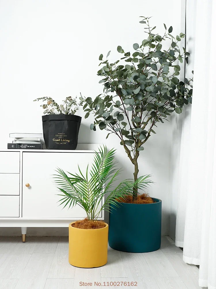 1個 新品 無地 セラミック植木鉢 ホームデコレーション 多 - Echeveria Succulent のレビューと価格