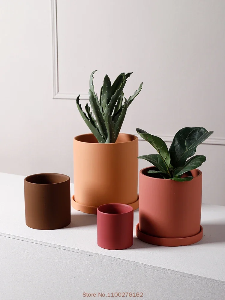 1個 新品 無地 セラミック植木鉢 ホームデコレーション 多 - Echeveria Succulent のレビューと価格
