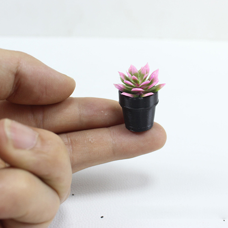 ジオラマ、ドールハウス、妖精の庭、机の装飾に使える、多肉植物 - Echeveria Succulent のレビューと価格