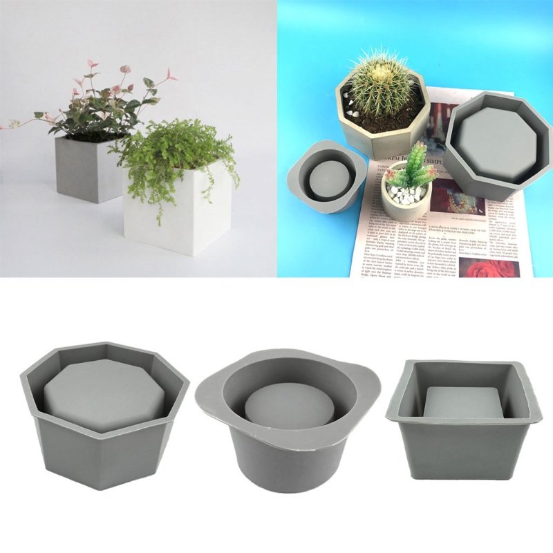 手作りの多肉植物プランター,シリコンモールド,コンクリート植 - Echeveria Succulent のレビューと価格