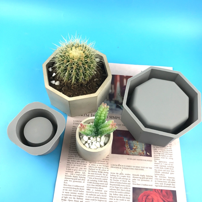 手作りの多肉植物プランター,シリコンモールド,コンクリート植 - Echeveria Succulent のレビューと価格