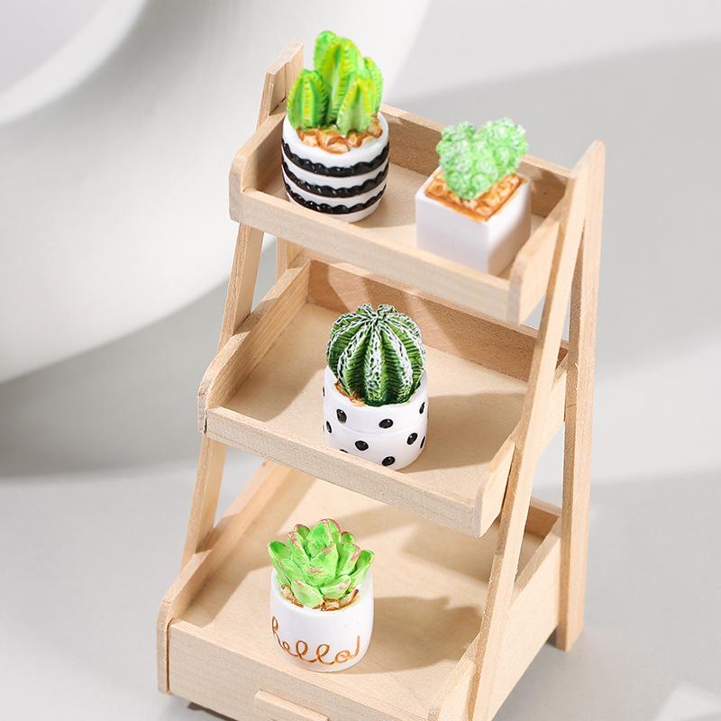 サボテン多肉植物の鉢植え4点セット、フェアリーガーデンアクセ - Echeveria Succulent のレビューと価格