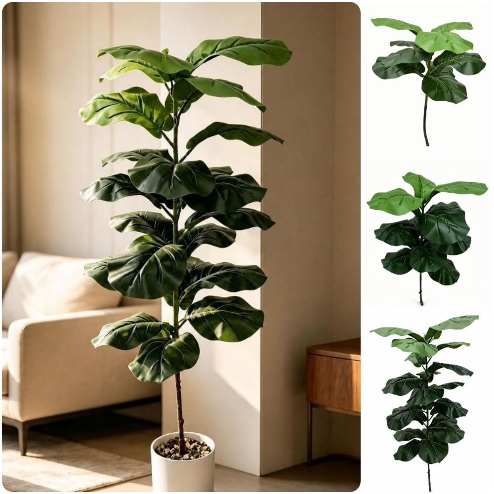 2023年9月15日 人工フィカス・リラータの葉 大型グリー - Ficus Lyrata Tree のレビューと価格